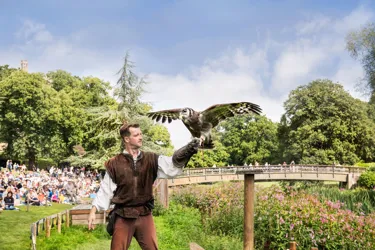 Copy Of Warwick Falconer's Quest