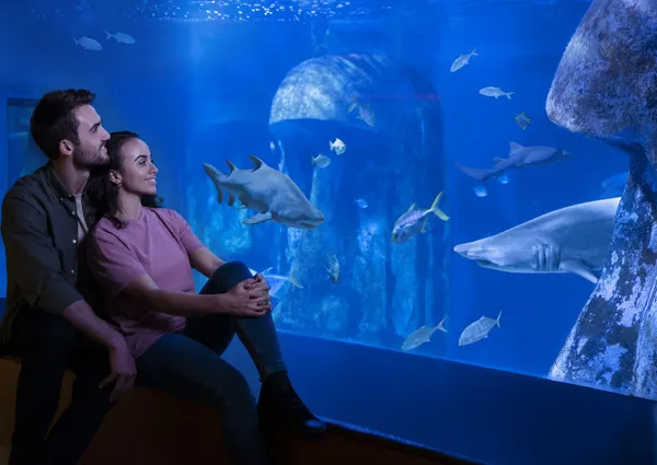 SEA LIFE London