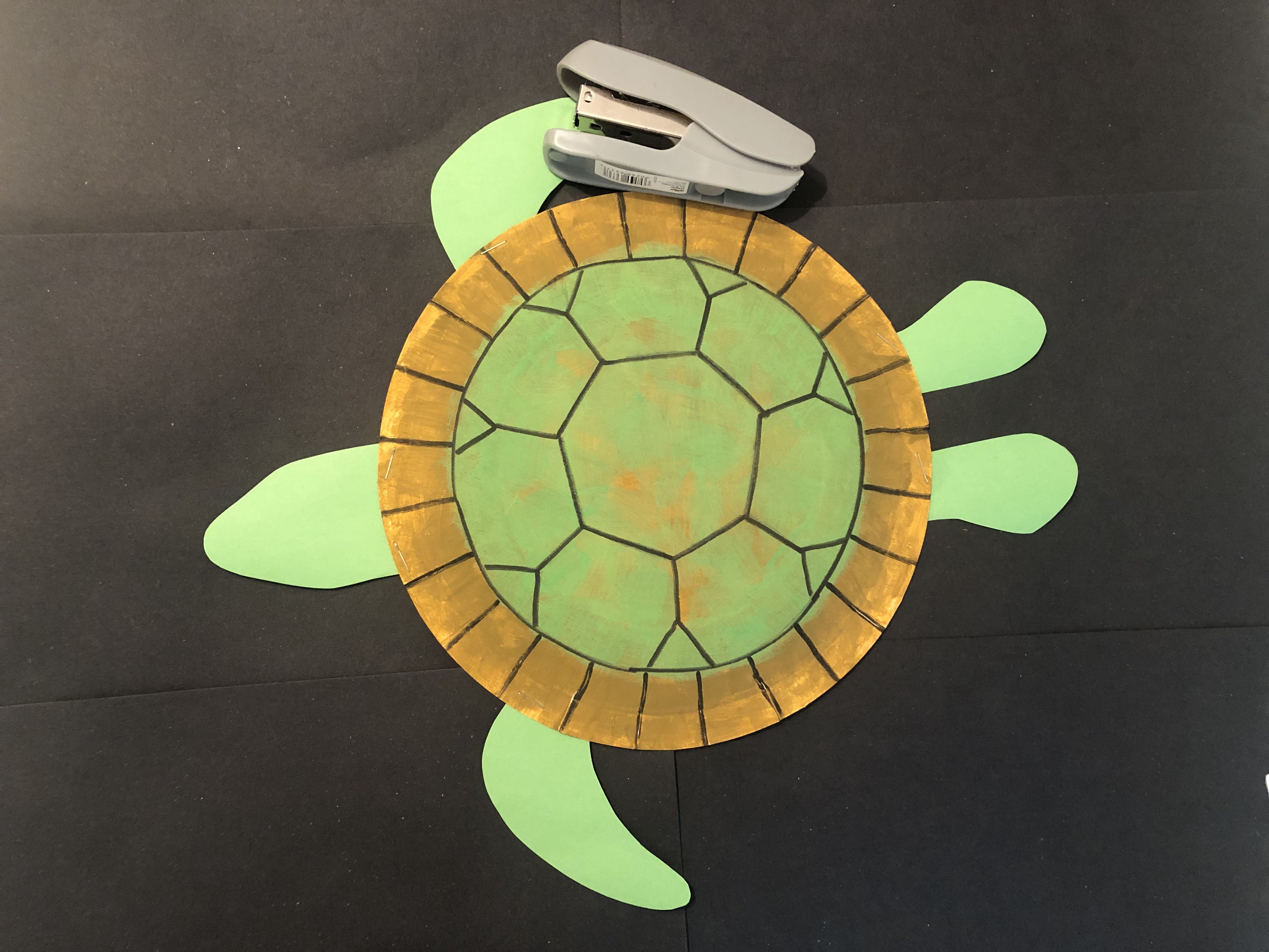Create a Turtle Step 5: Staple the head, wings and flippers to the turtle’s shell.