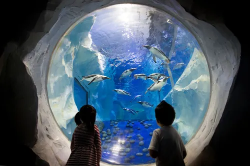 SEA LIFE - Fun for all the family this summer