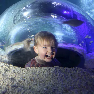 SEA LIFE Blackpool