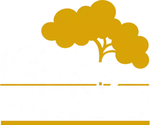 Cadbury World Logo White (1)