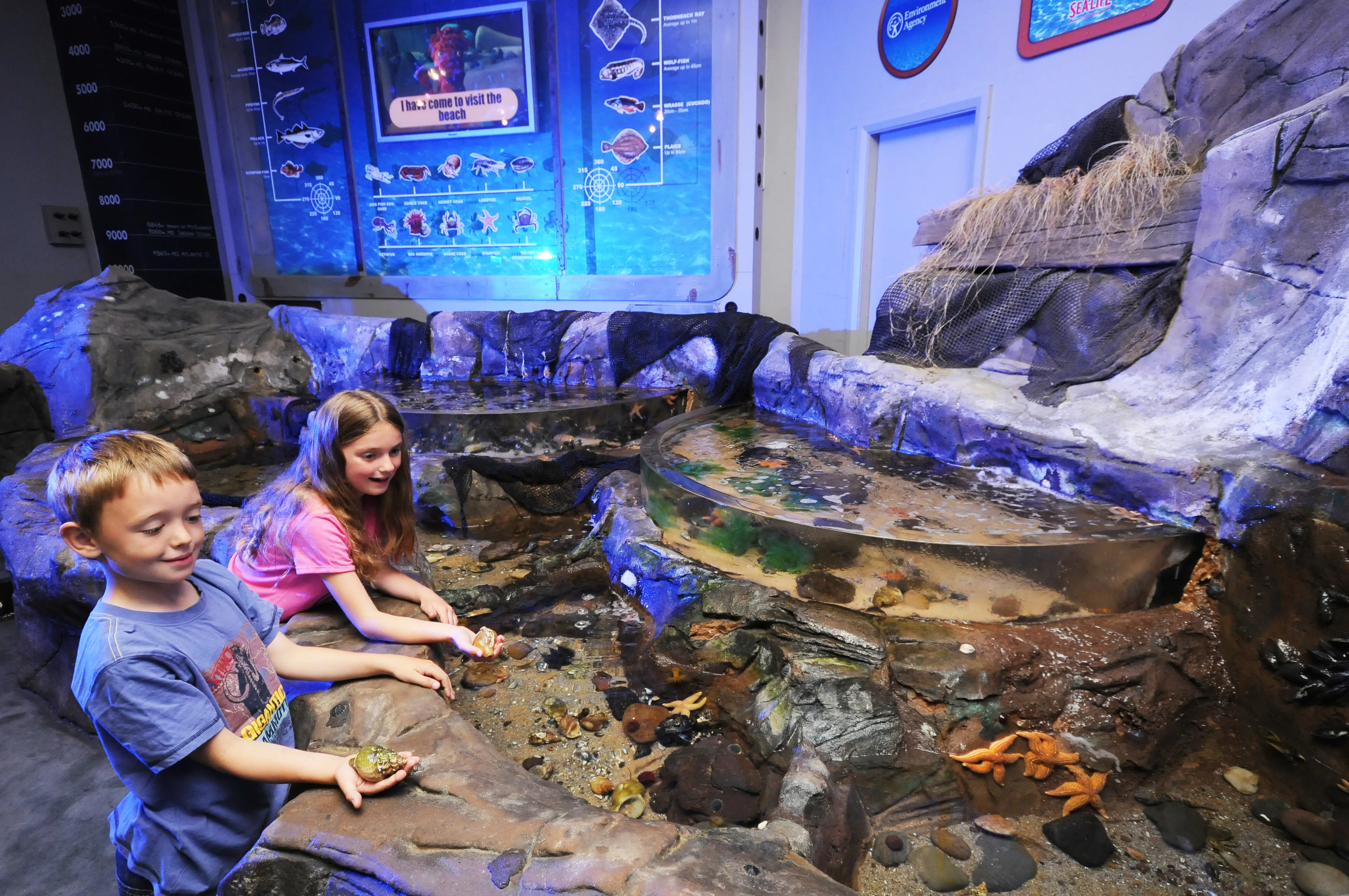 SEA LIFE Blackpool Rockpool