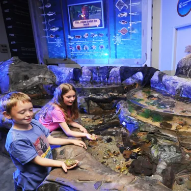 SEA LIFE Blackpool Rockpool