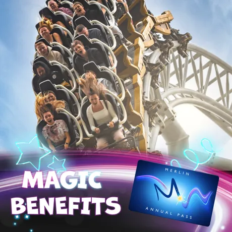 Merlin Magic Blog Previe
