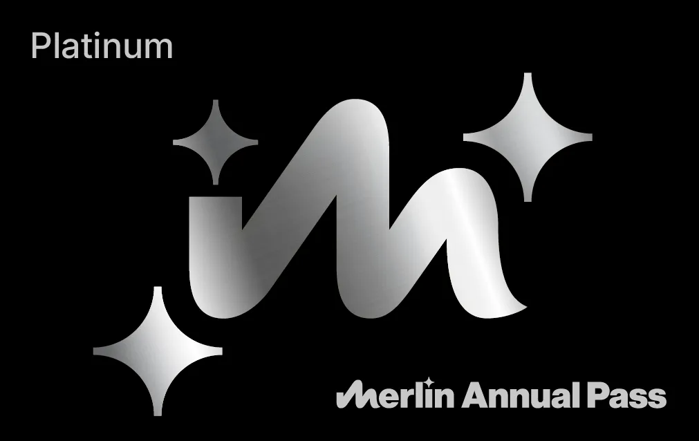 Platinum Card Digitak Diagonal Silver