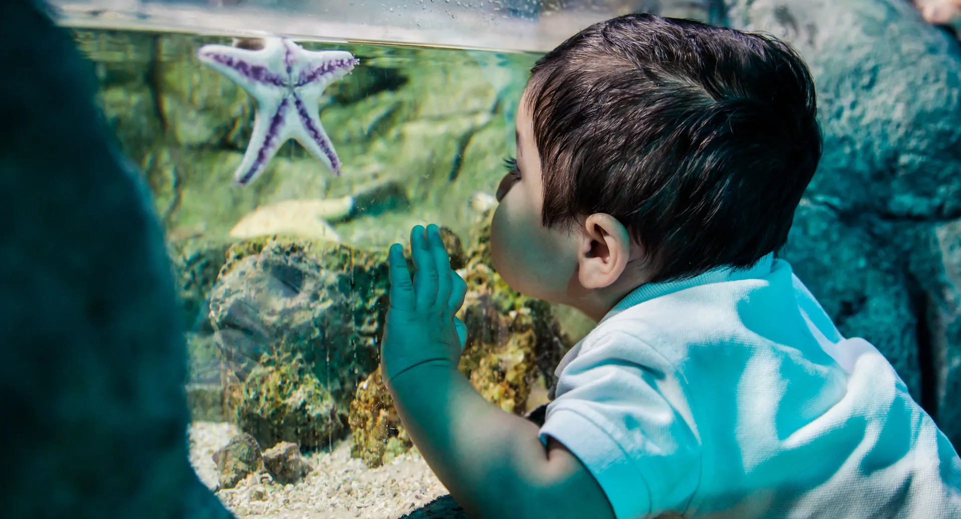 SEA LIFE Sanctuary Hunstanton