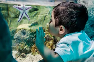 SEA LIFE Sanctuary Hunstanton