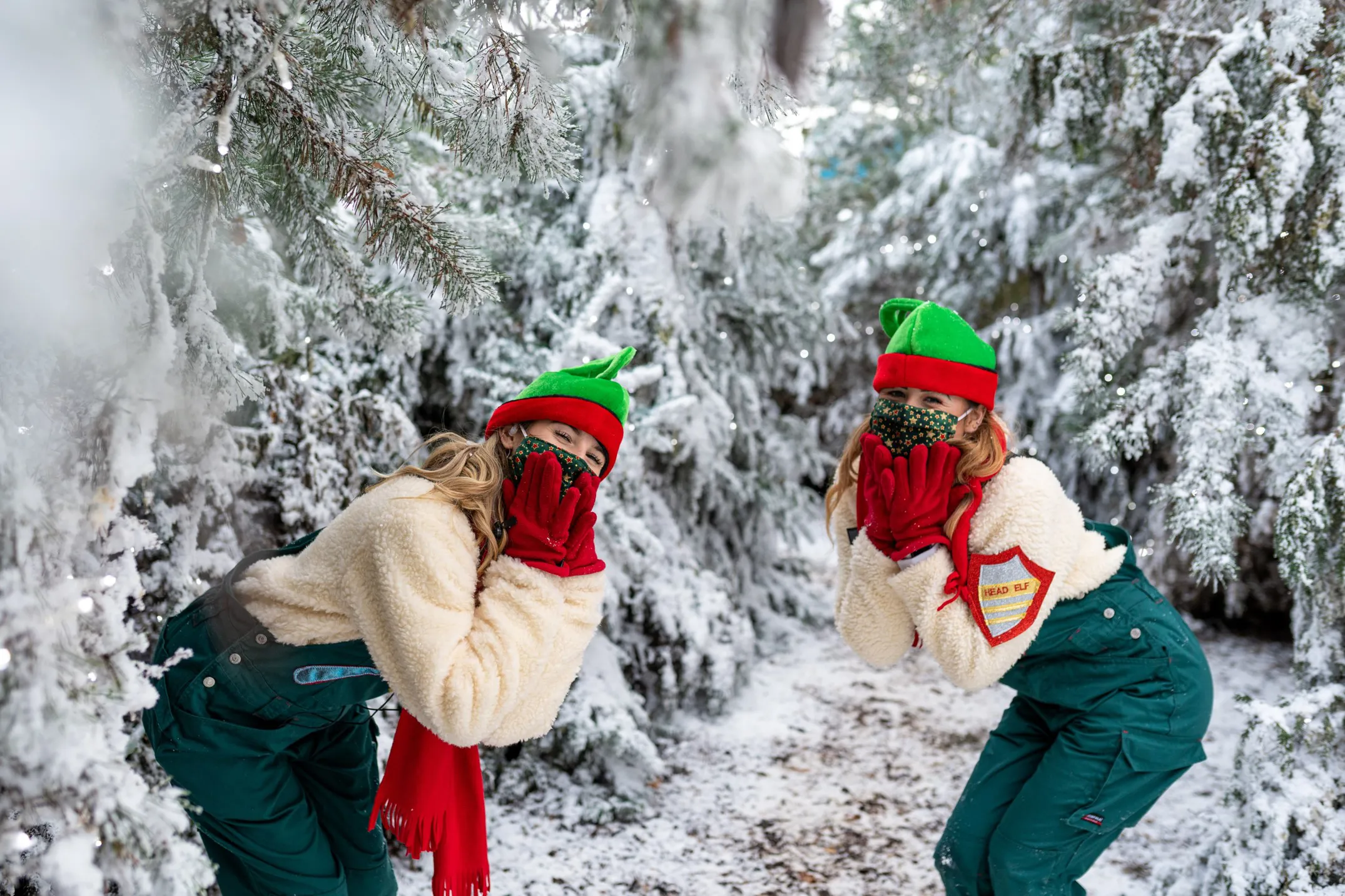 Winter's Tail at Chessington World of Adventures Resort