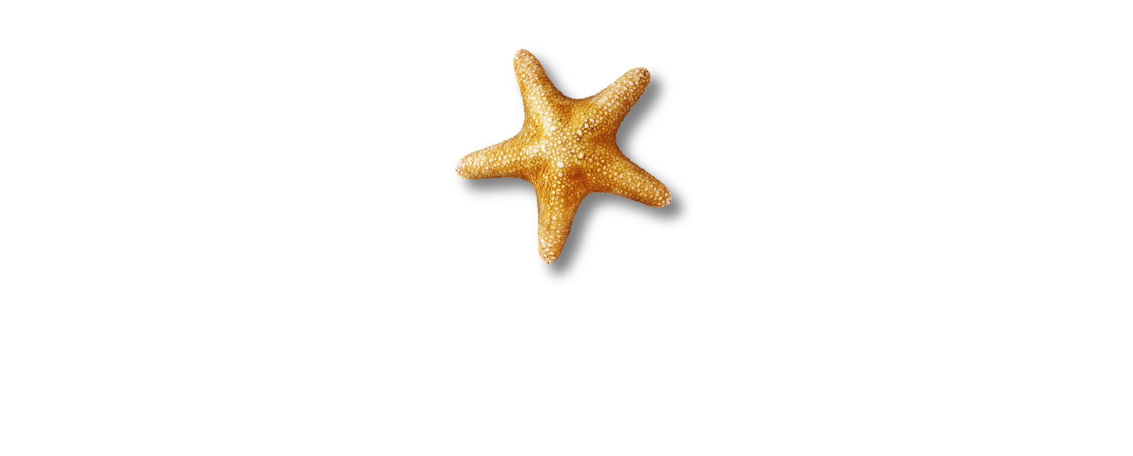 SEA LIFE London logo
