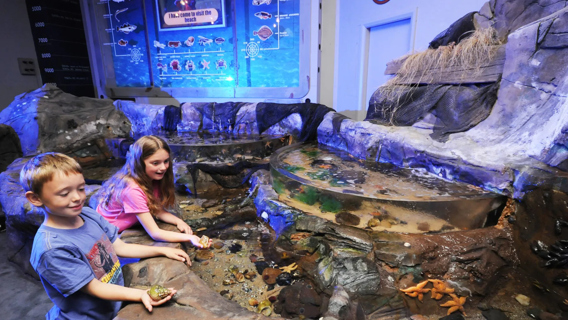 Sea Life Blackpool Rockpool