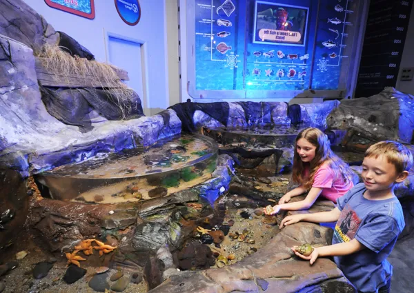 SEA LIFE Blackpool Rockpool
