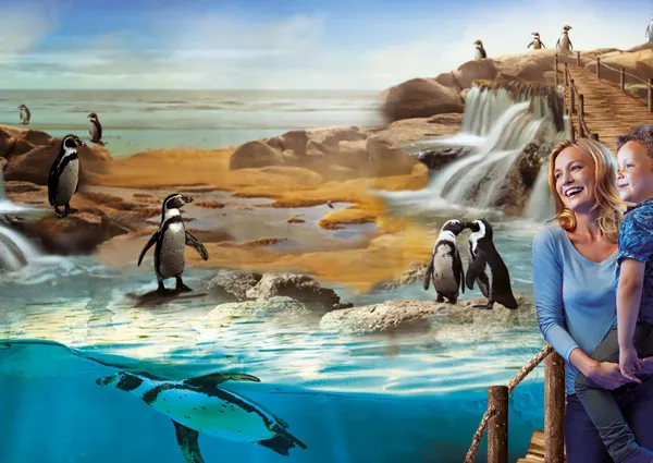 Penguins at SEA LIFE Sanctuary Hunstanton
